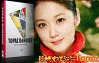 降噪磨皮滤镜Topaz DeNoise.v5.0.0(32位)注册版