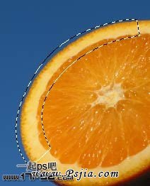 Photoshop制作一只系鞋带的橘子