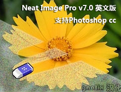 Neat Image Pro v7.0 英文破解版